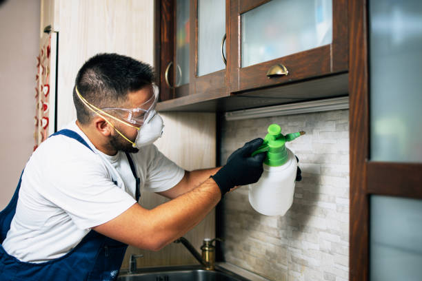 Best Mosquito Control Services  in Jonesville, VA