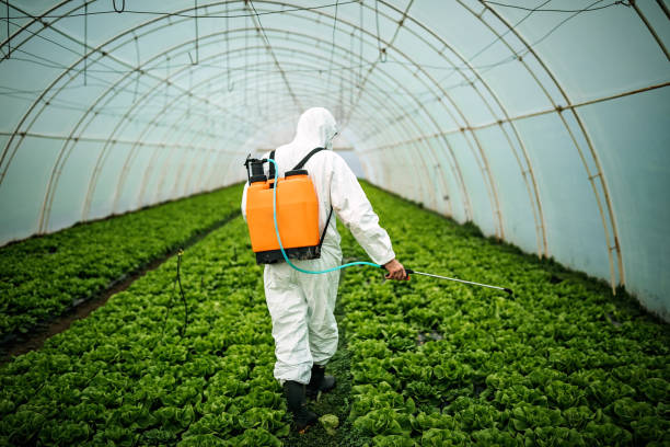 Best Best Pest Control Companies  in Jonesville, VA