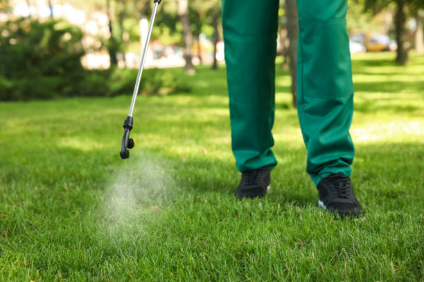 Best Rat Extermination Near Me  in Jonesville, VA