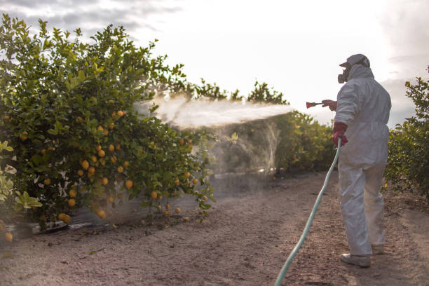 Best Pest Prevention Services  in Jonesville, VA