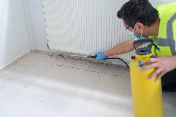 Best Bed Bug Extermination  in Jonesville, VA