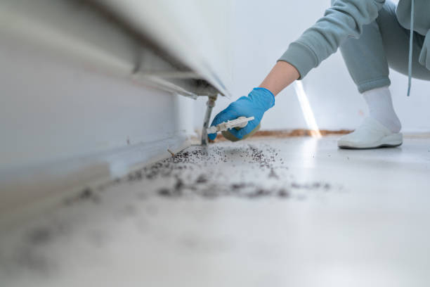 Best Pest Prevention Services  in Jonesville, VA